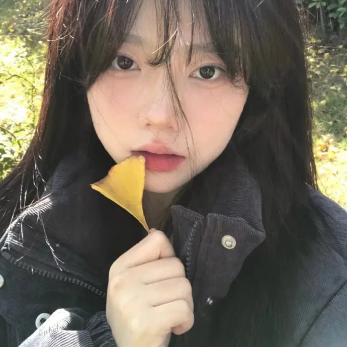 你是我心中的太阳