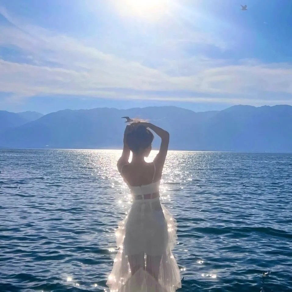 说走就走之不说再见