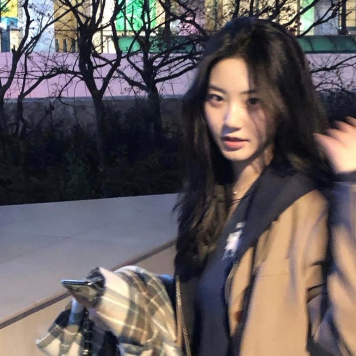 圣诞快乐:马达加斯加